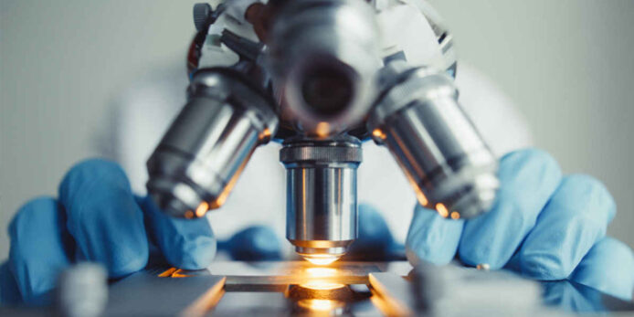 La-biotecnologia-en-la-medicina-y-la-agricultura